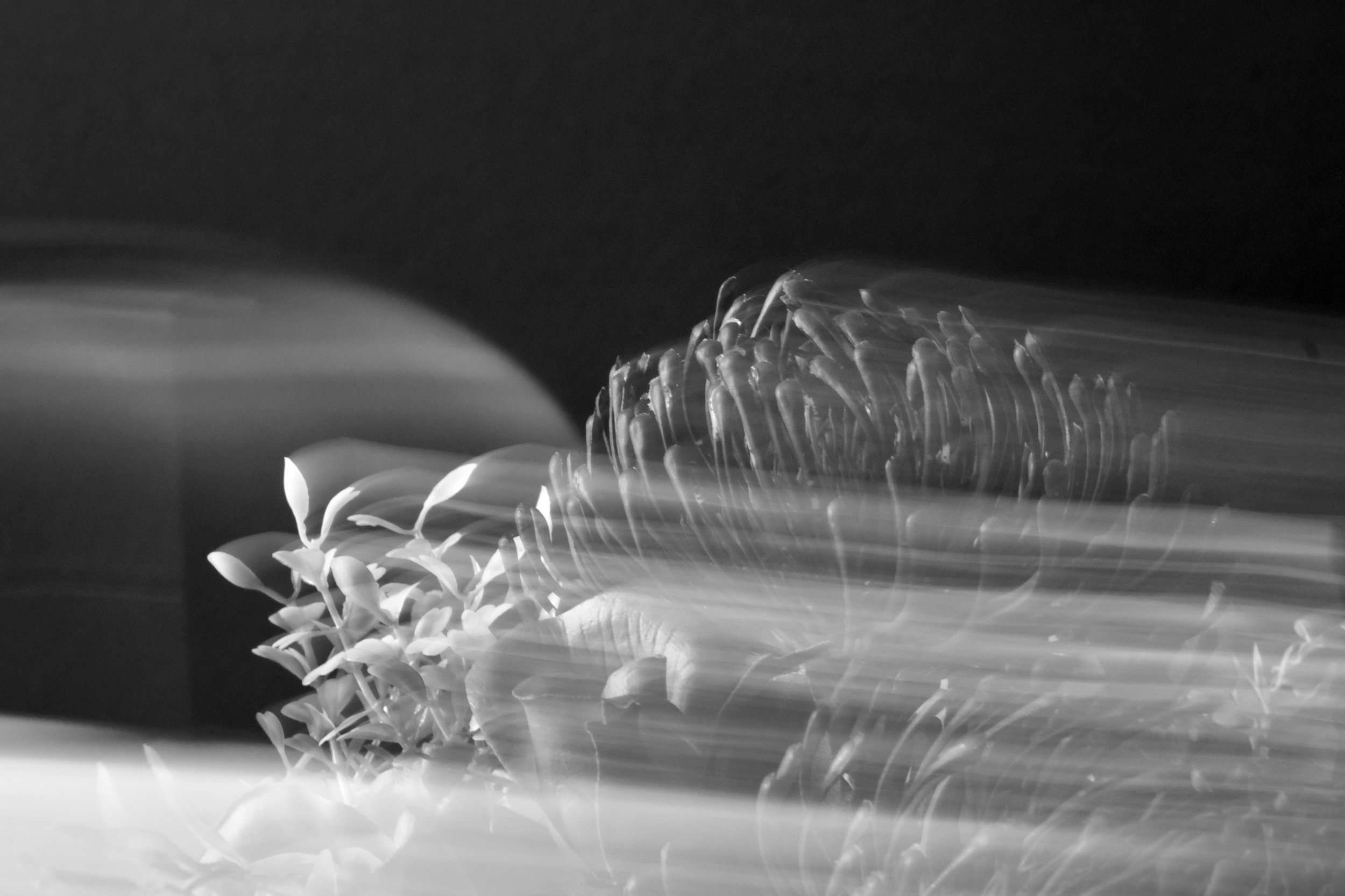 Untitled I - 2022