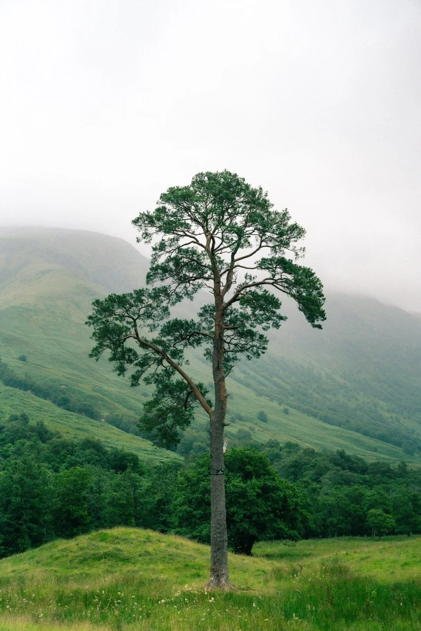 glen nevis-1 Large.jpeg