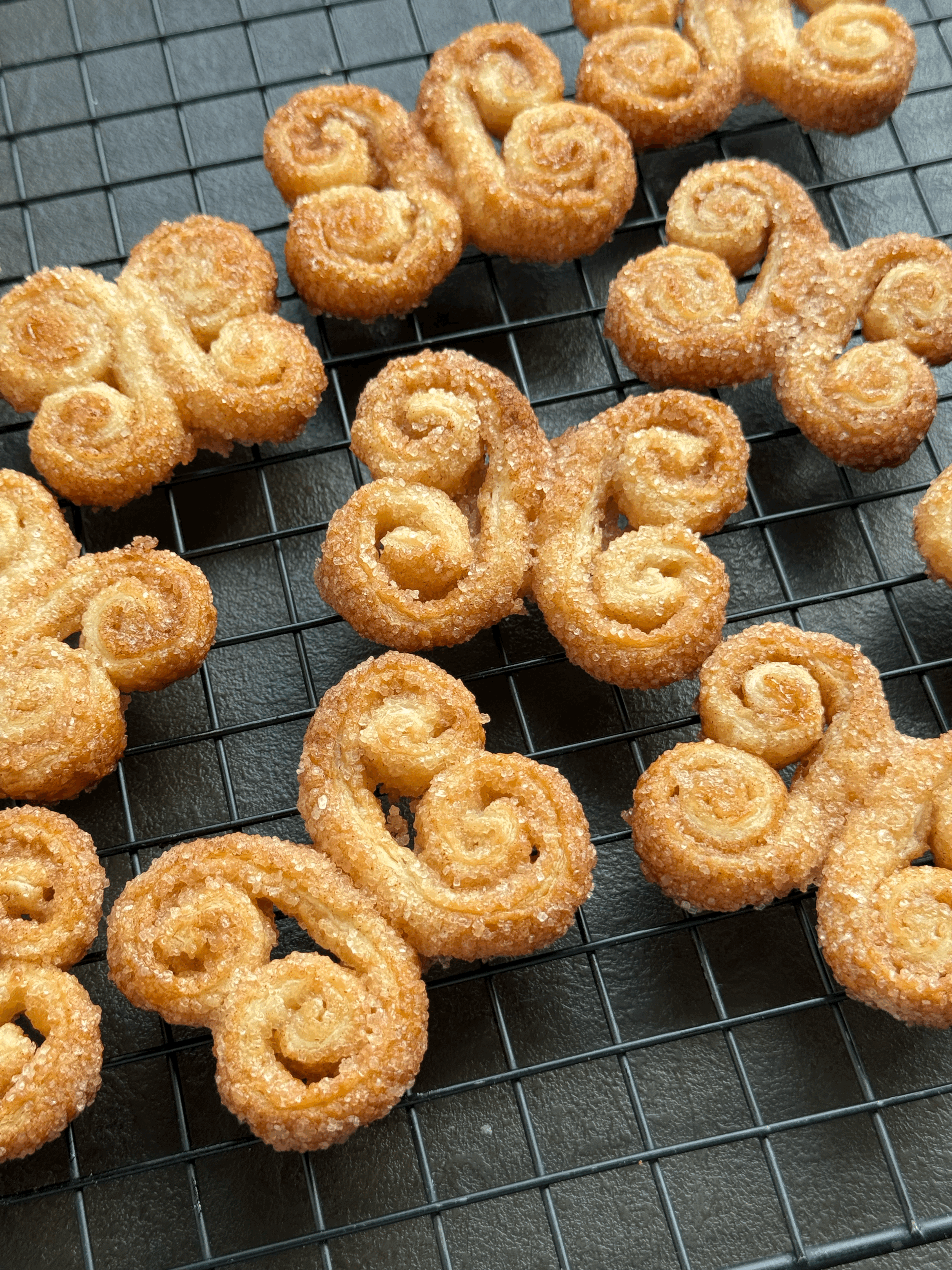 Palmiers