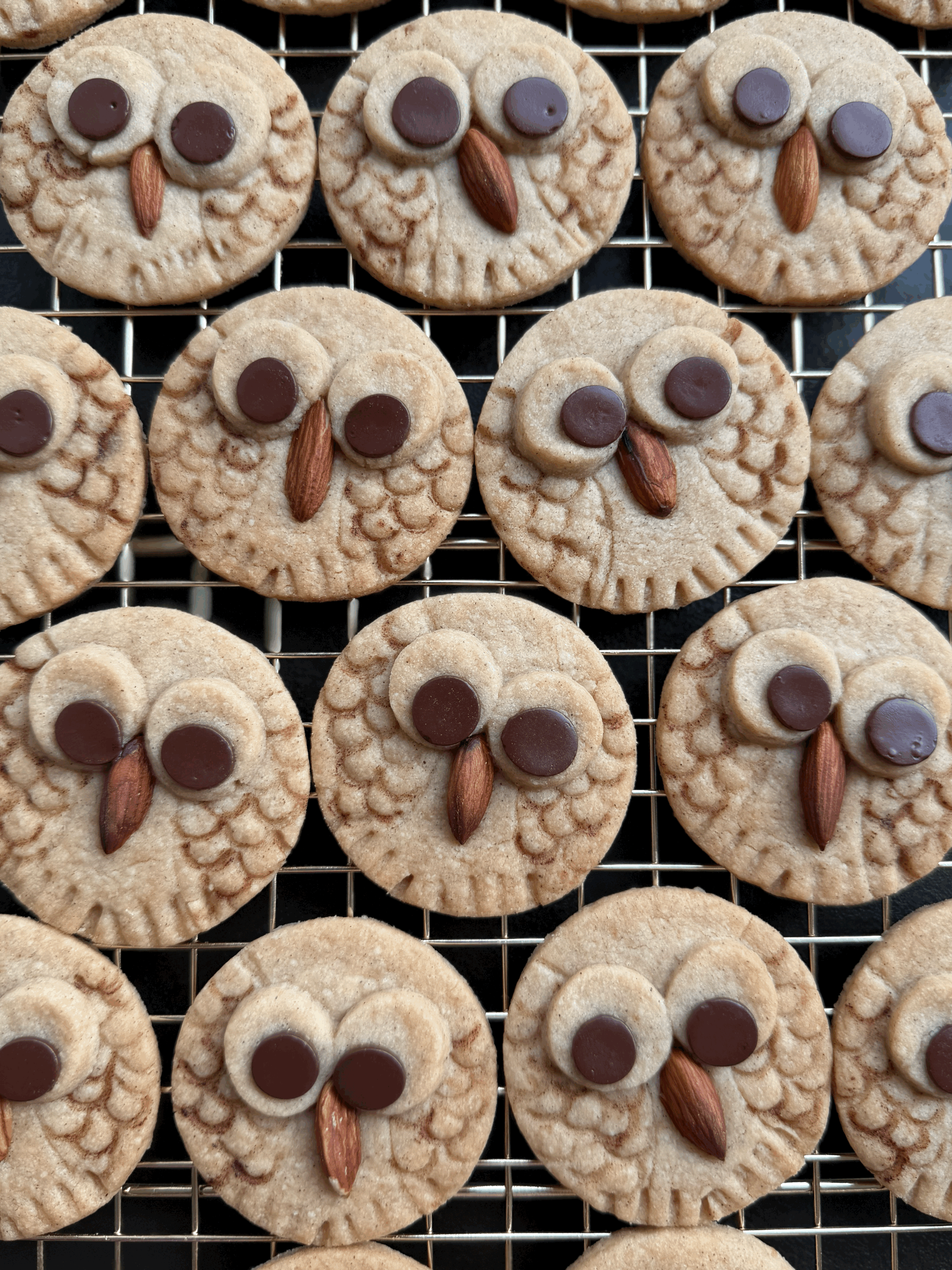 Cinnamon Owl Shortbread Cookies