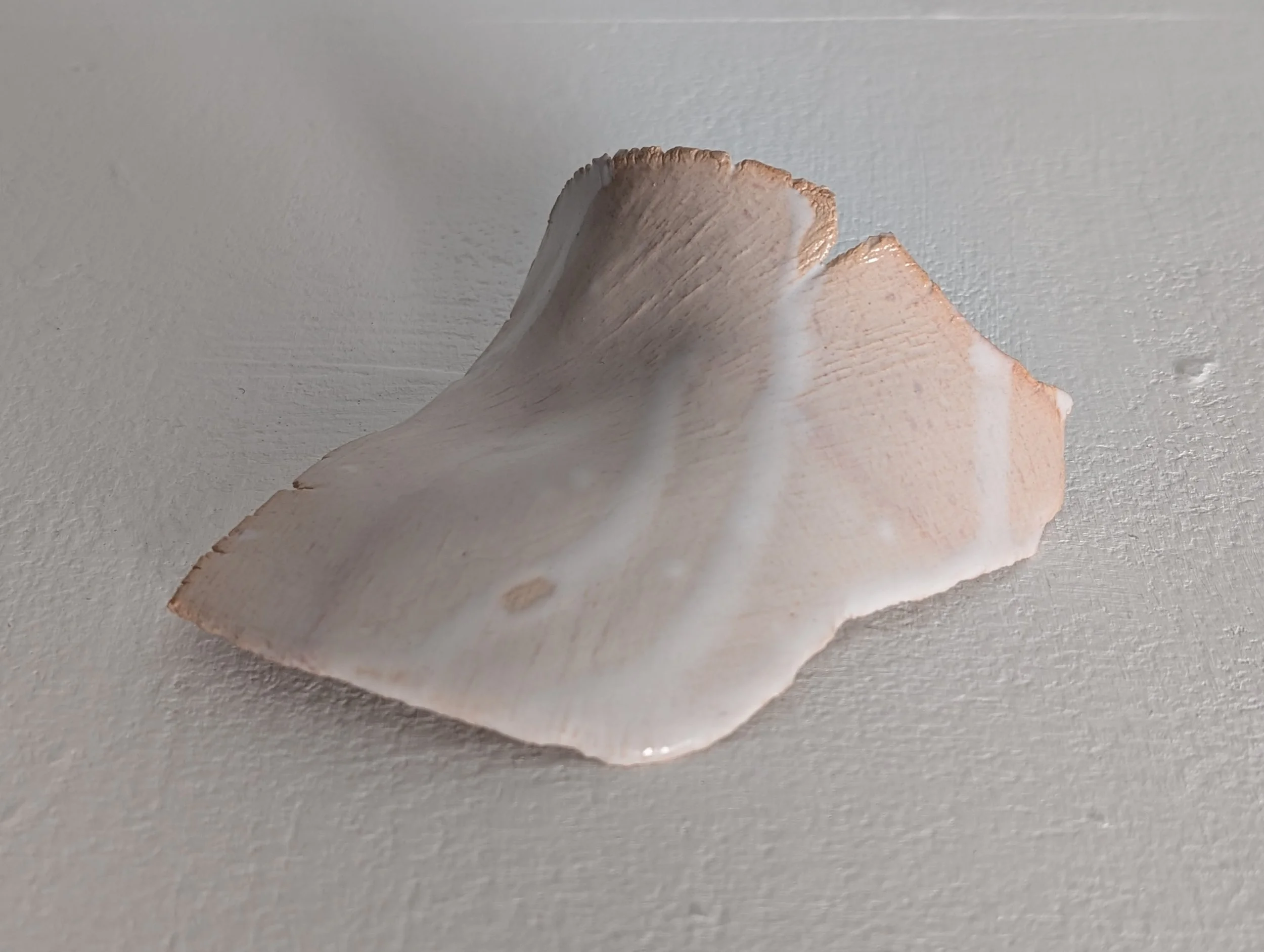 Crook (2024).  Glazed earthenware