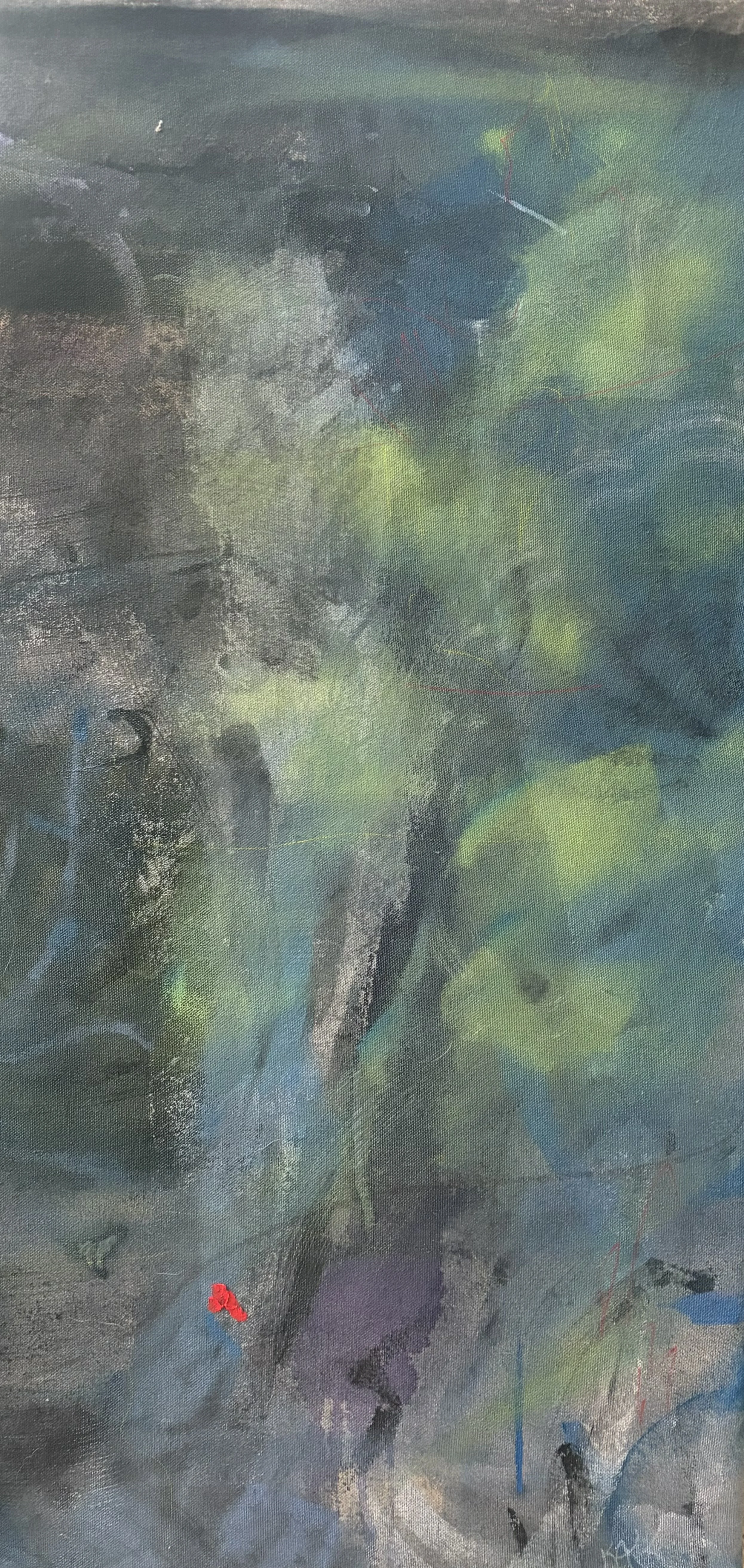 #5 (15x30")