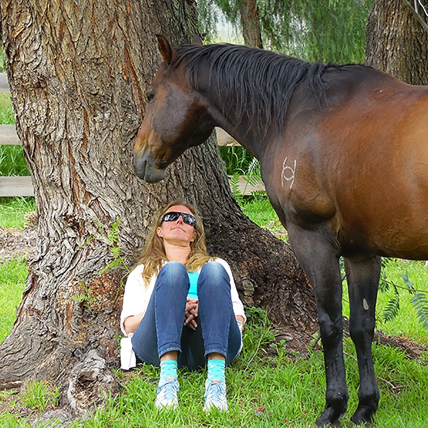 A woman sitting on the grass leaning against a large tree with a brown horse standing nearby, both outdoors with green grass and trees in the background.