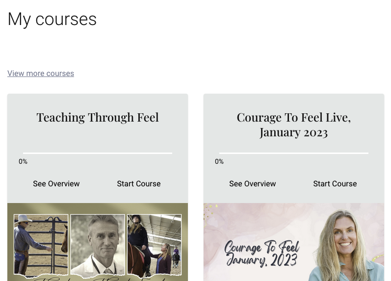 Screen Shot 2023-03-07 at 3.48.13 PM.png