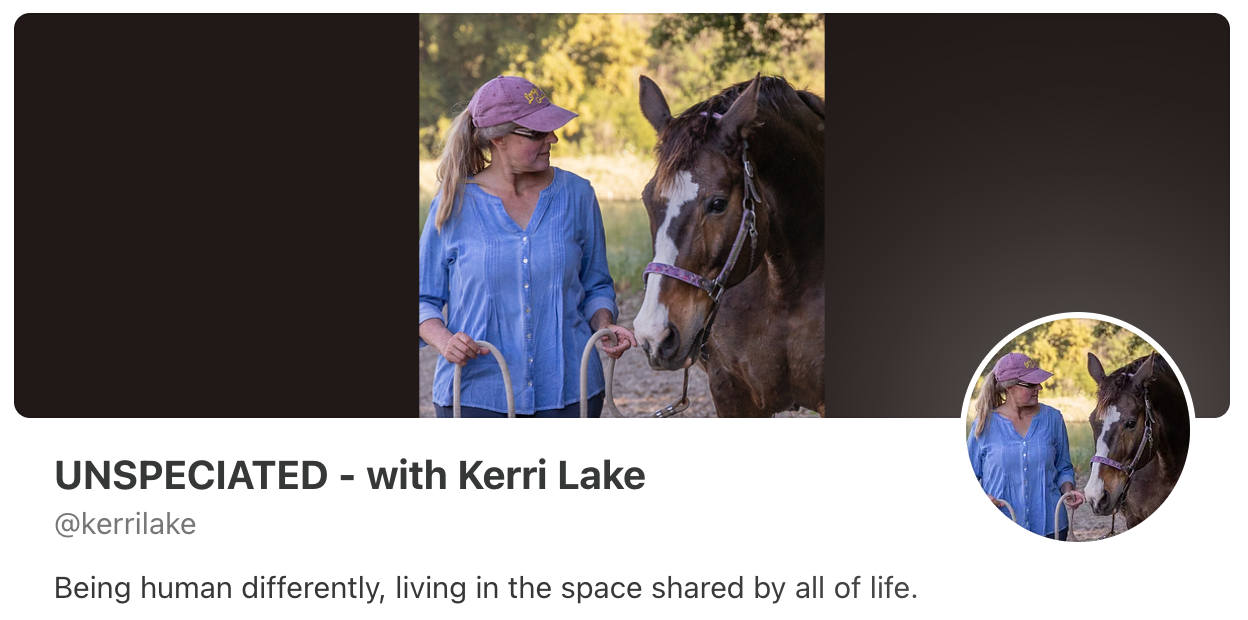 Kerri Lake walks with her friend Veto who happens to be a horse