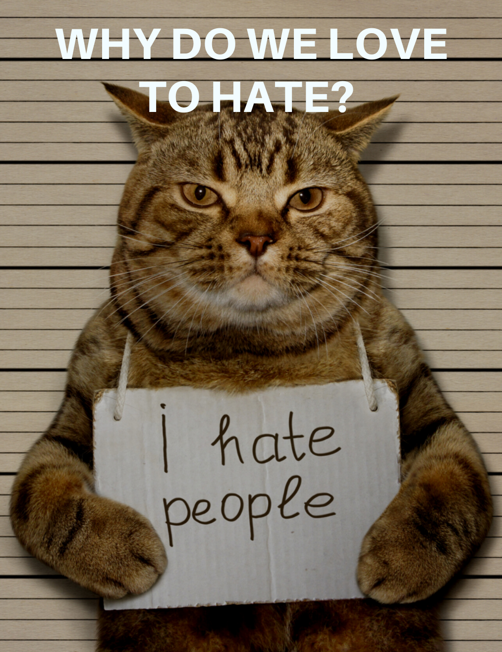 Why Do We Love to Hate?