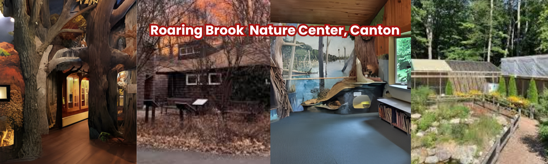 Canton, CT Indoor Play Places, Roaring Brook Nature Center