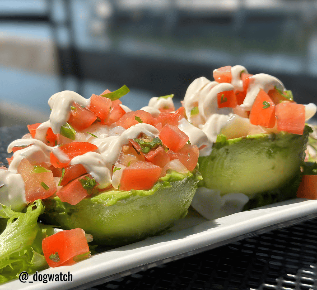 Lobster Stuffed Avocados, The Dog Watch Cafe, Stonington, CT