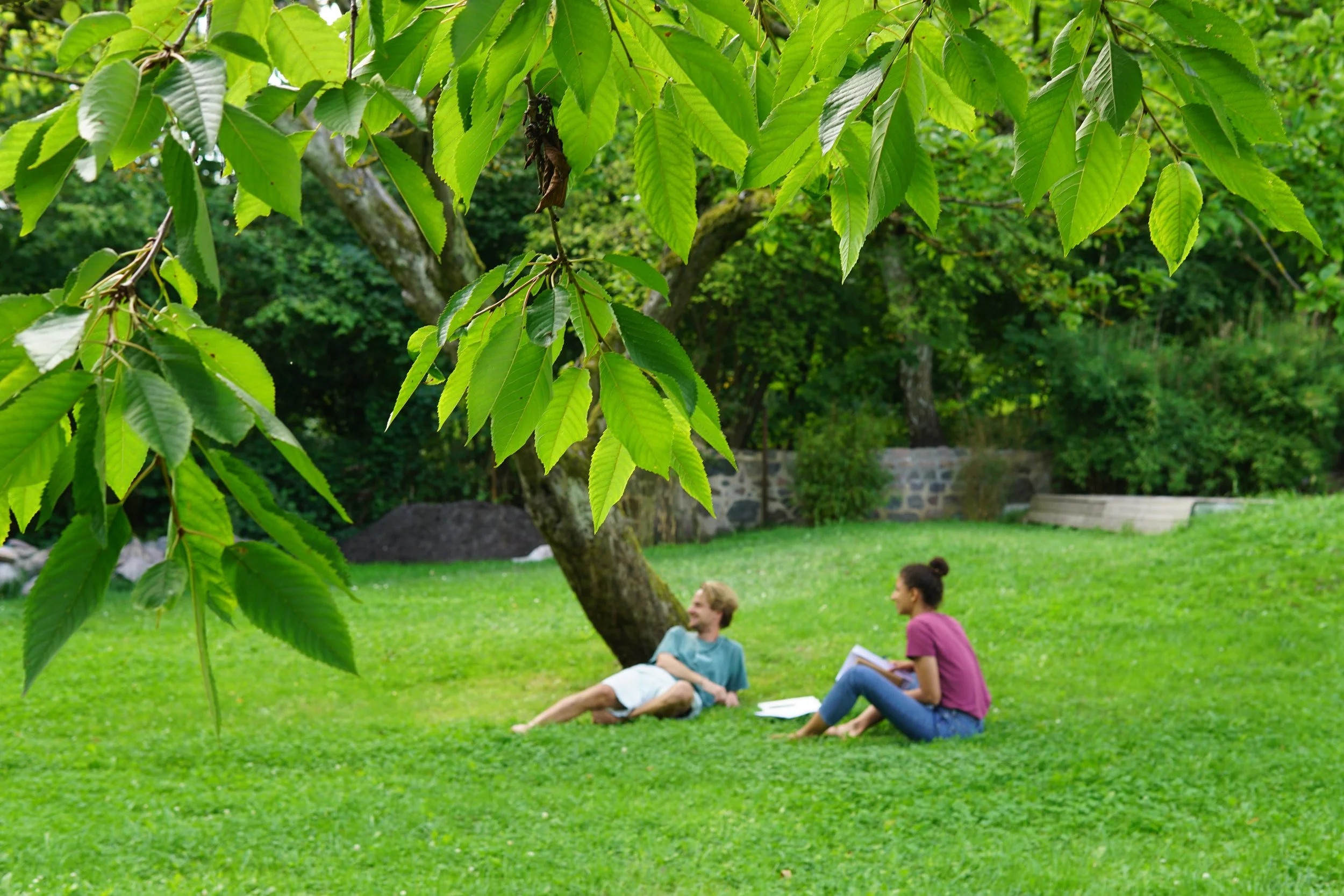 Copy of DSC00488.JPG