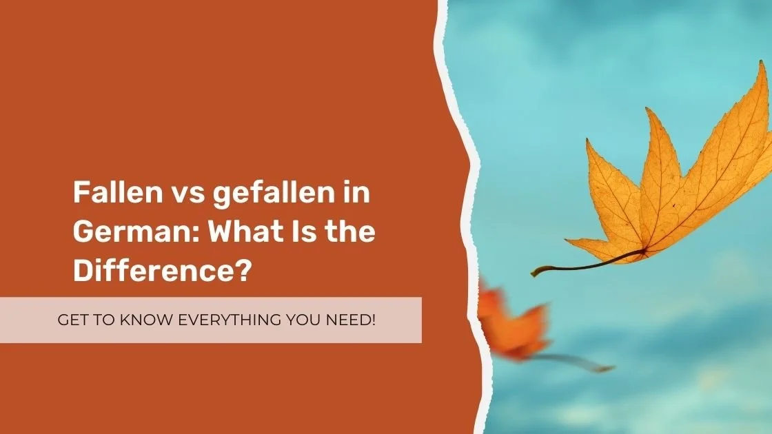 Fallen vs Gefallen in German: What Is the Difference?