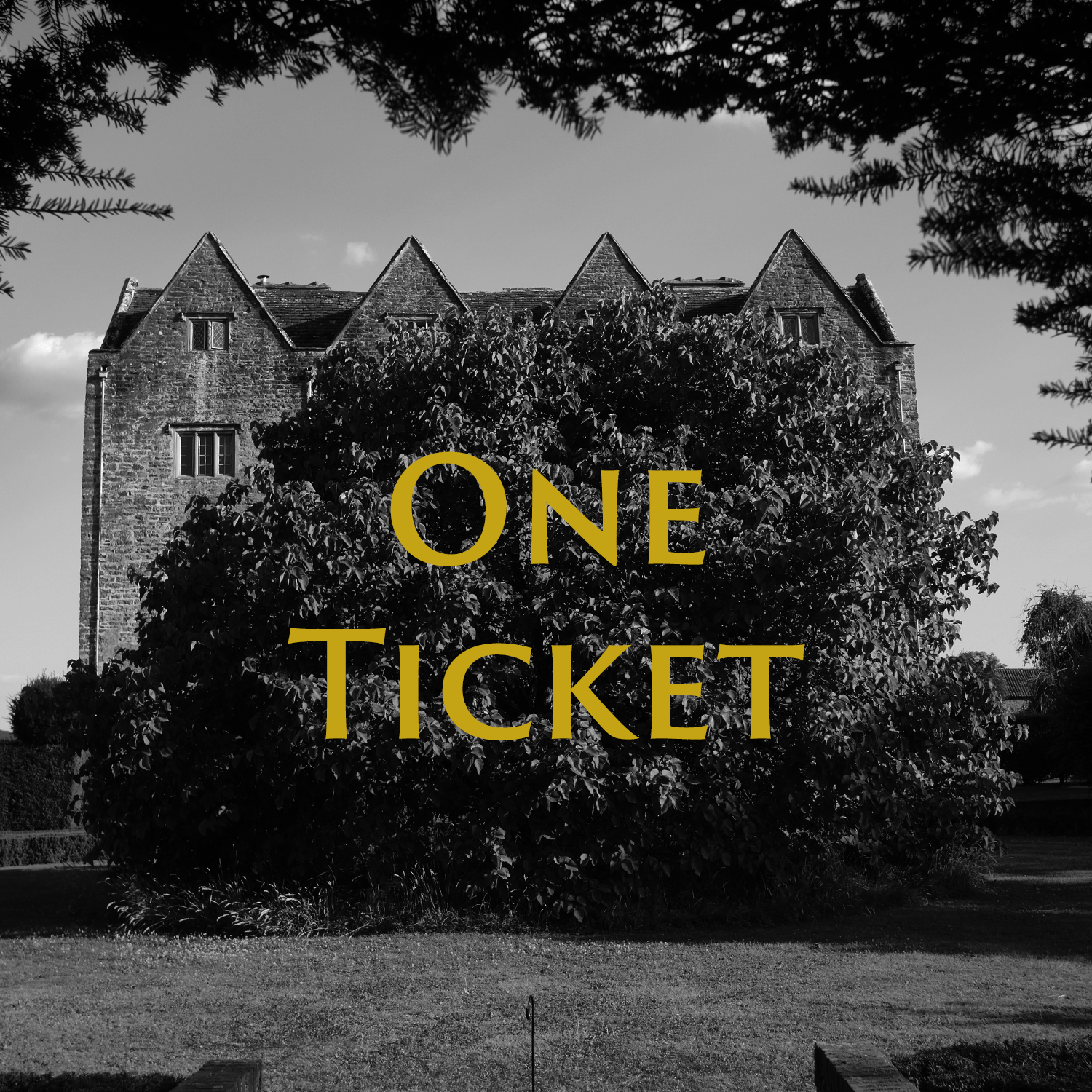 one ticket.png