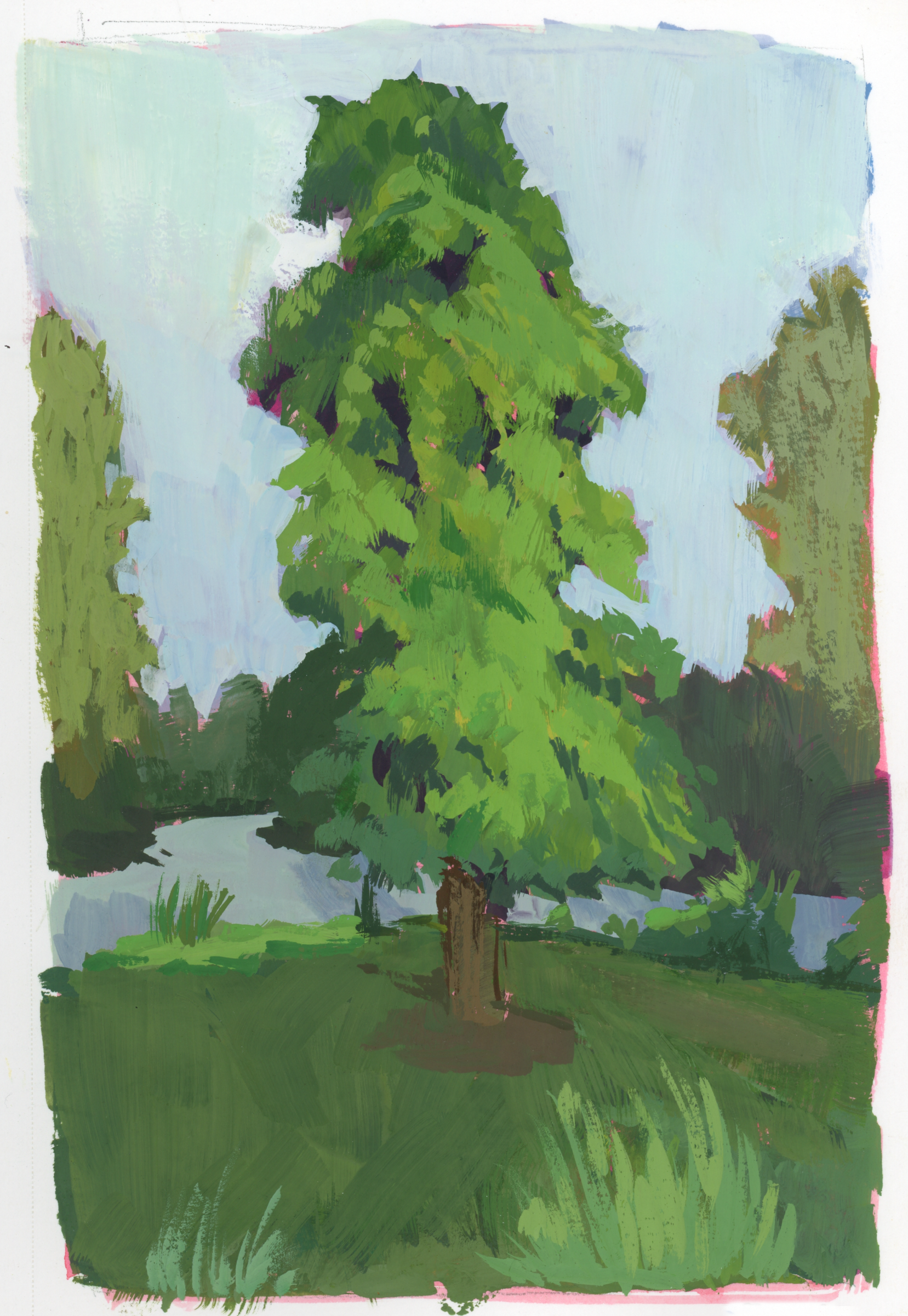 I wish i knew what kind of tree this is.png