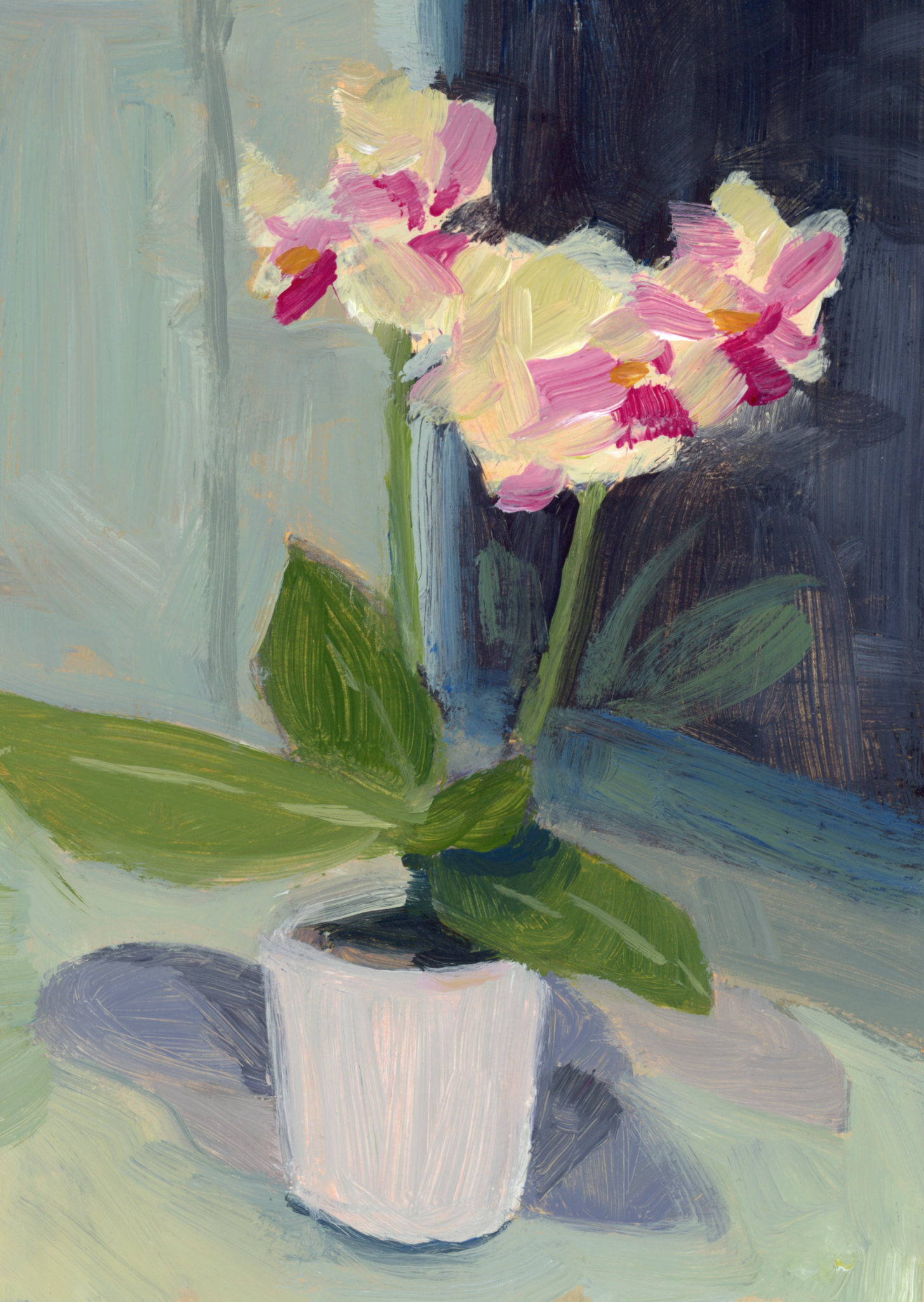 valentine's orchids.png