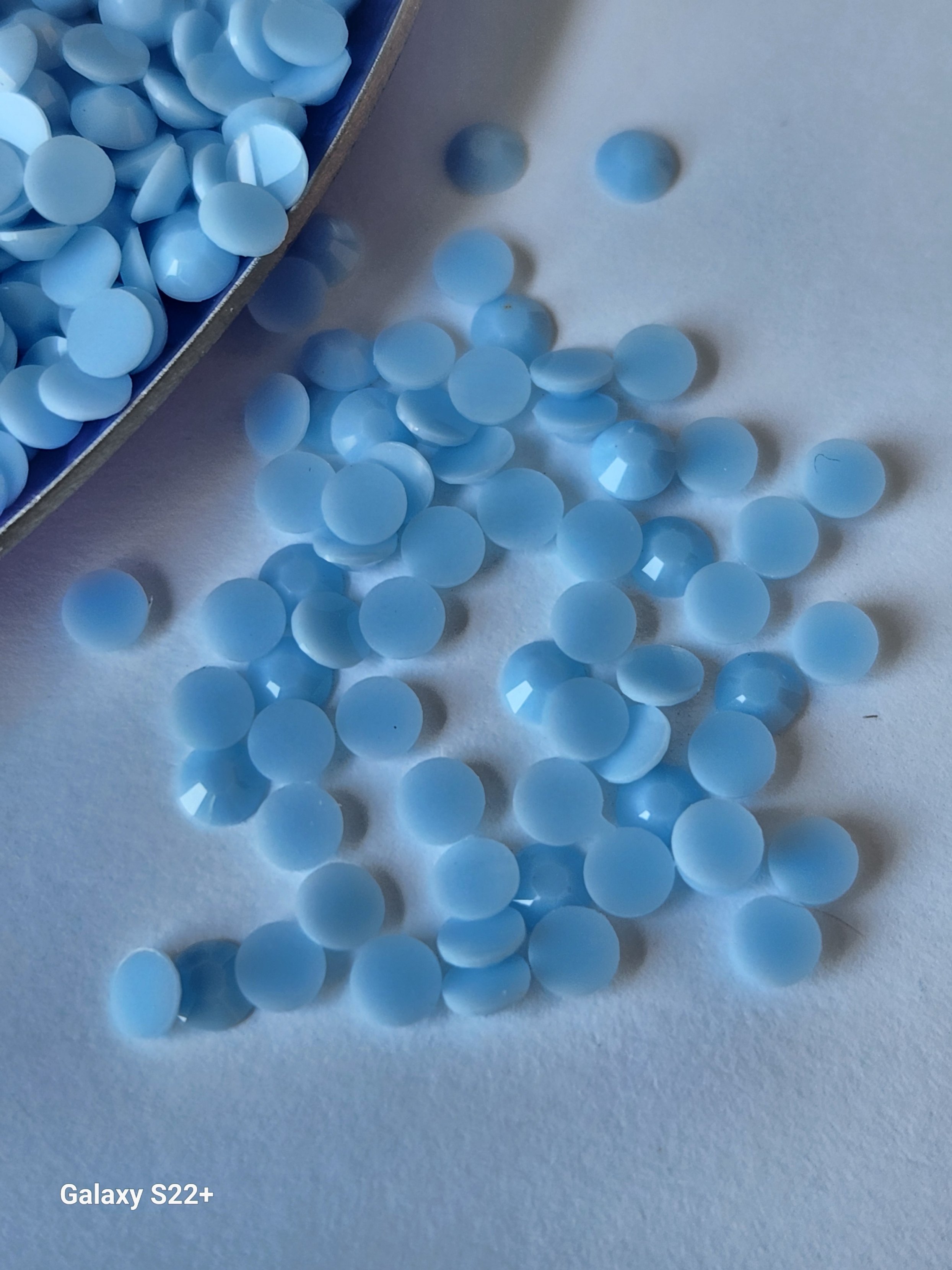 Forget Me Not close up.jpg