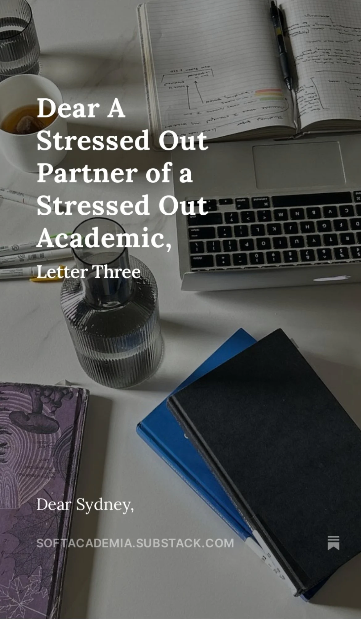 How do I be there for my stressed out partner who is in academia because it’s wearing down our relationship?
