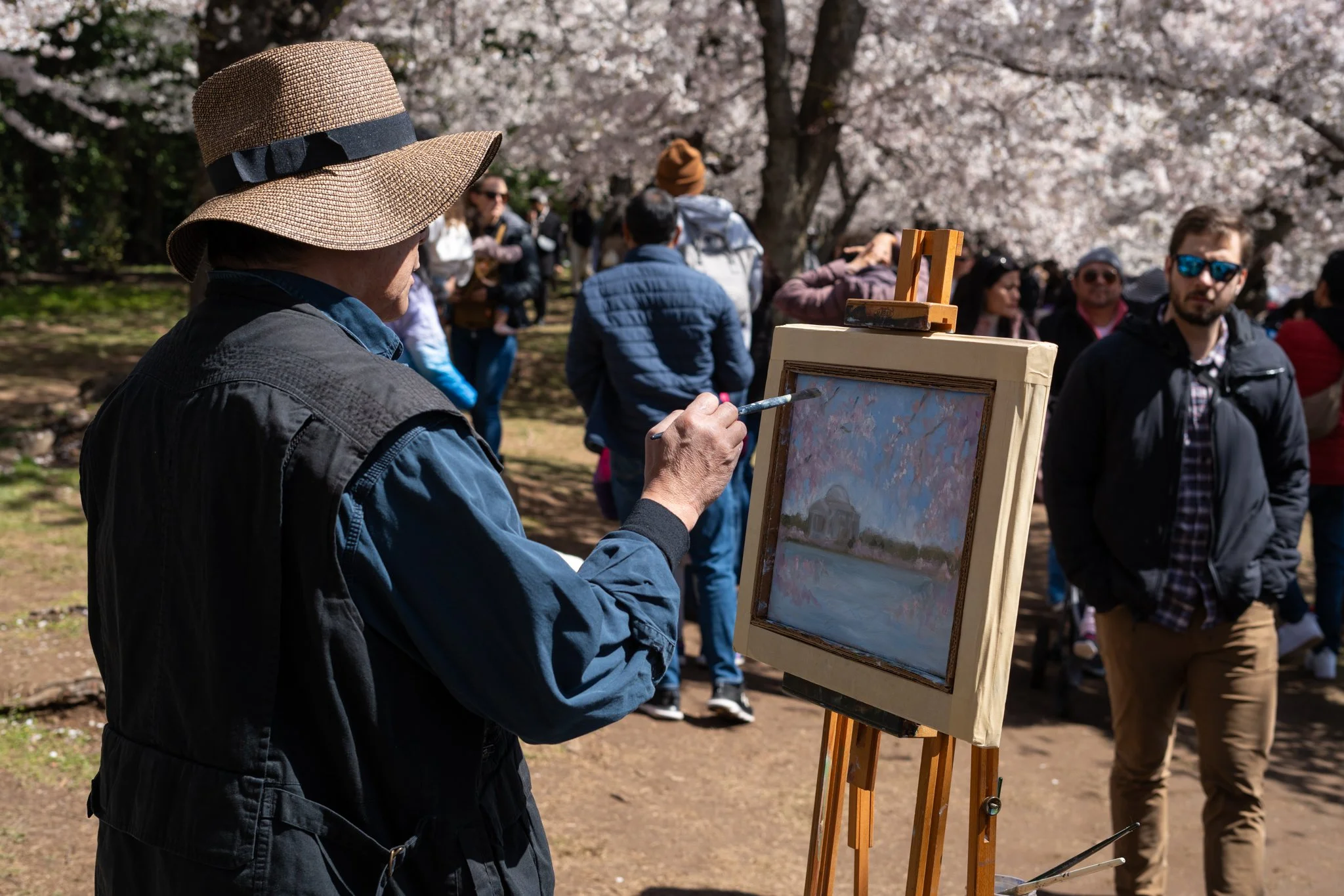 cherryblossoms3_24_24-47.jpg