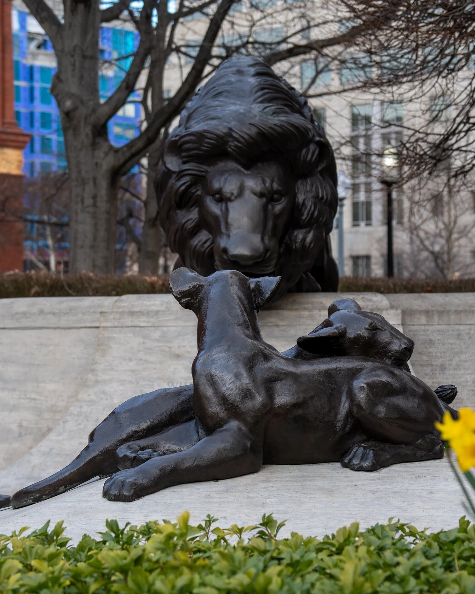 cityshoot3_10_24 -36.jpg