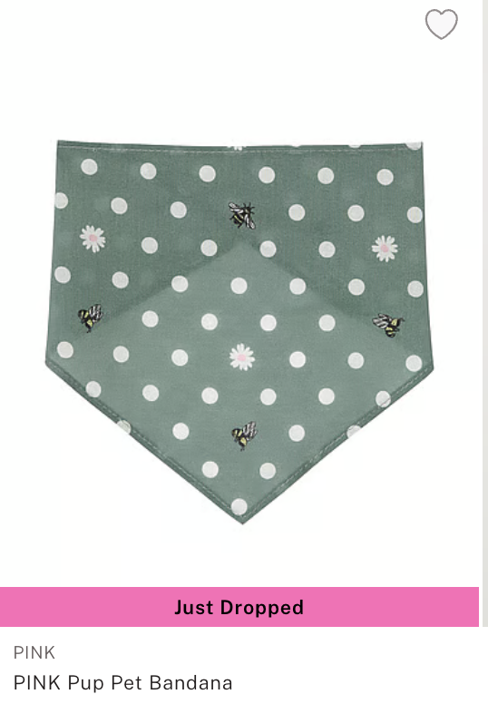 Screenshot 2025-03-23 at 10.40.53 AM.png