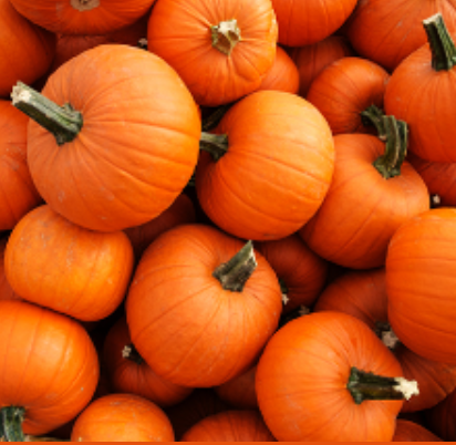 WCPC Pumpkin Painting