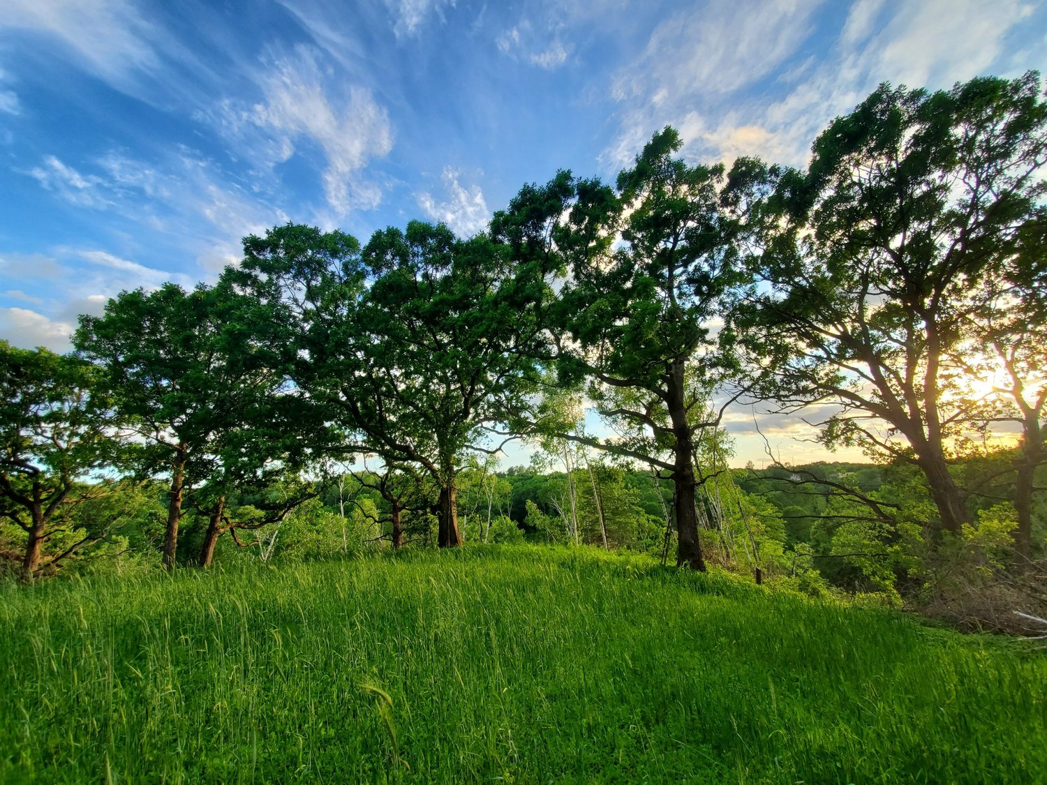 Driftless Land Management, LLC