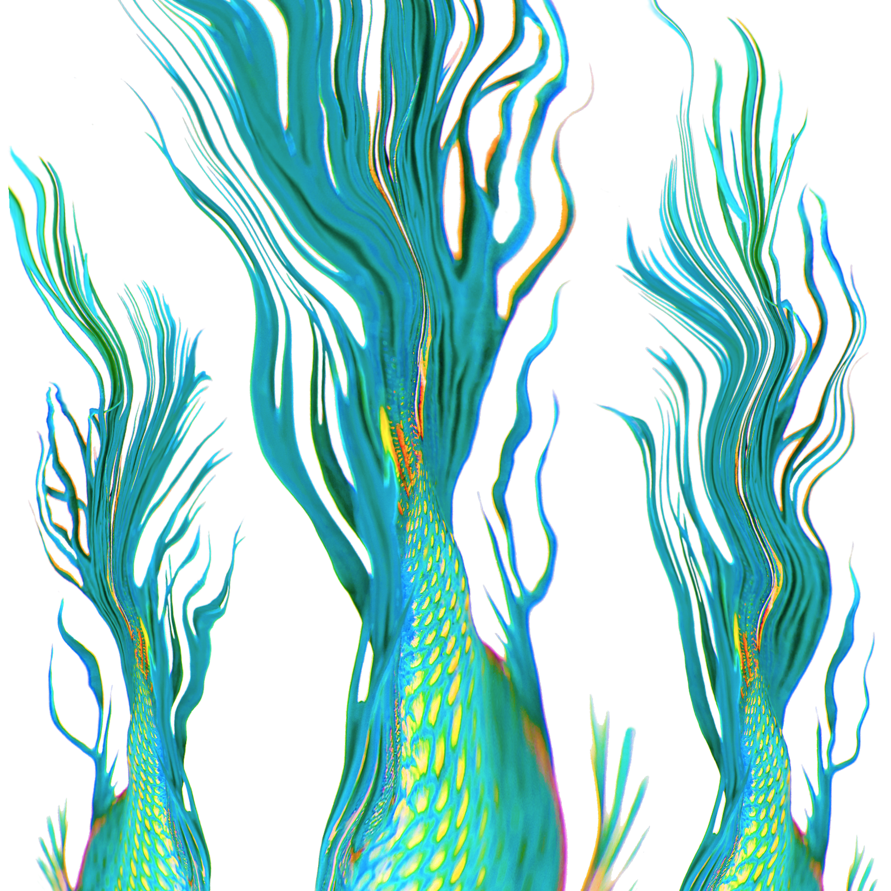tiwia swatch options dive deep fish tails.png