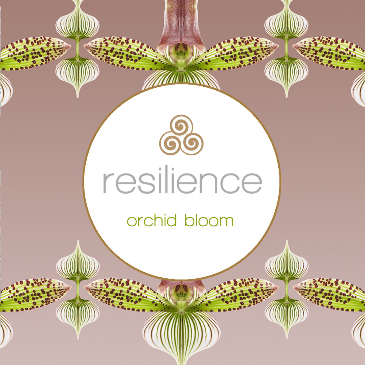 tiwia logo resilience collection orchid.png