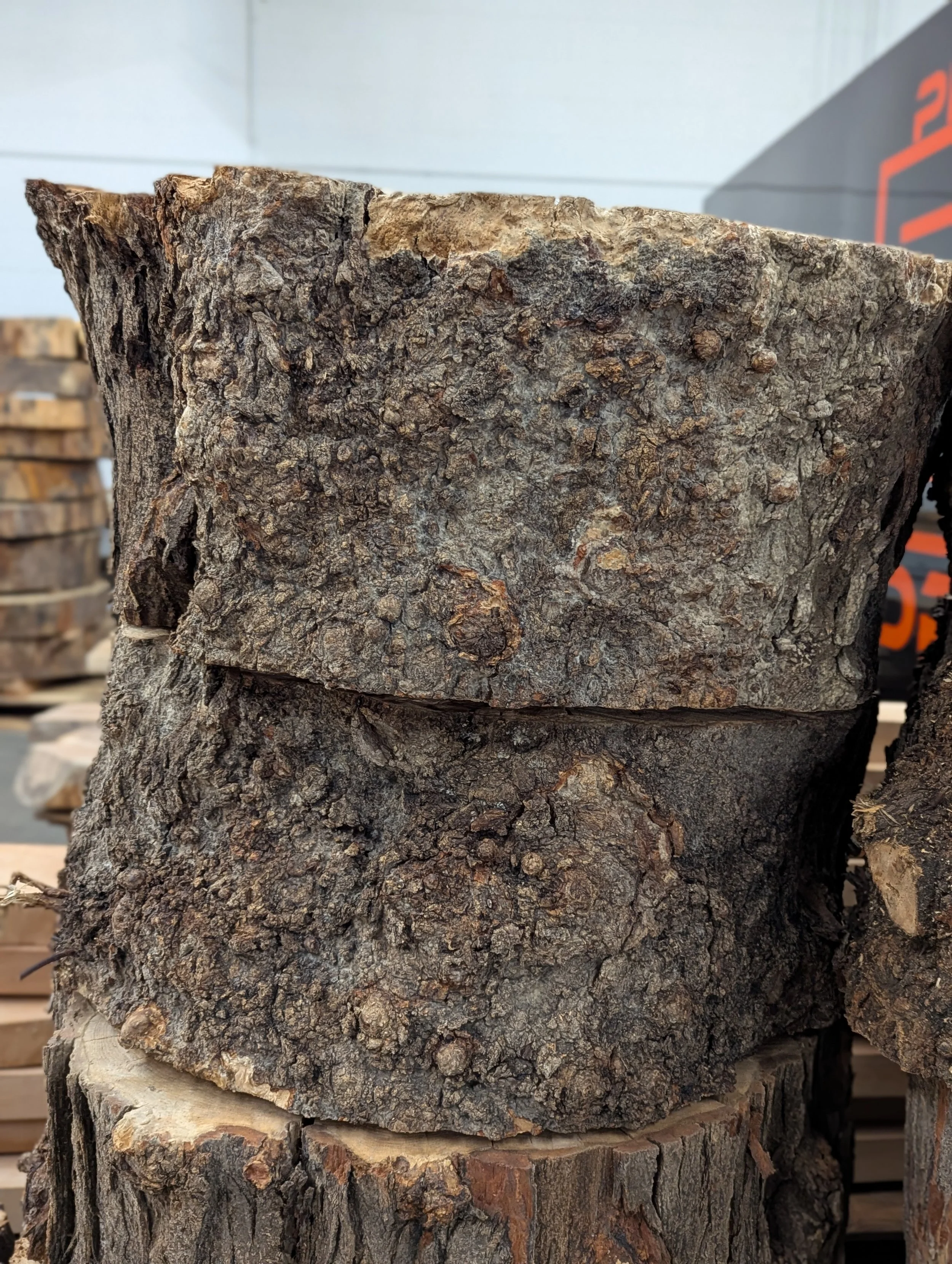 Locally sourced and salvaged urban live edge honey locust for wood turning