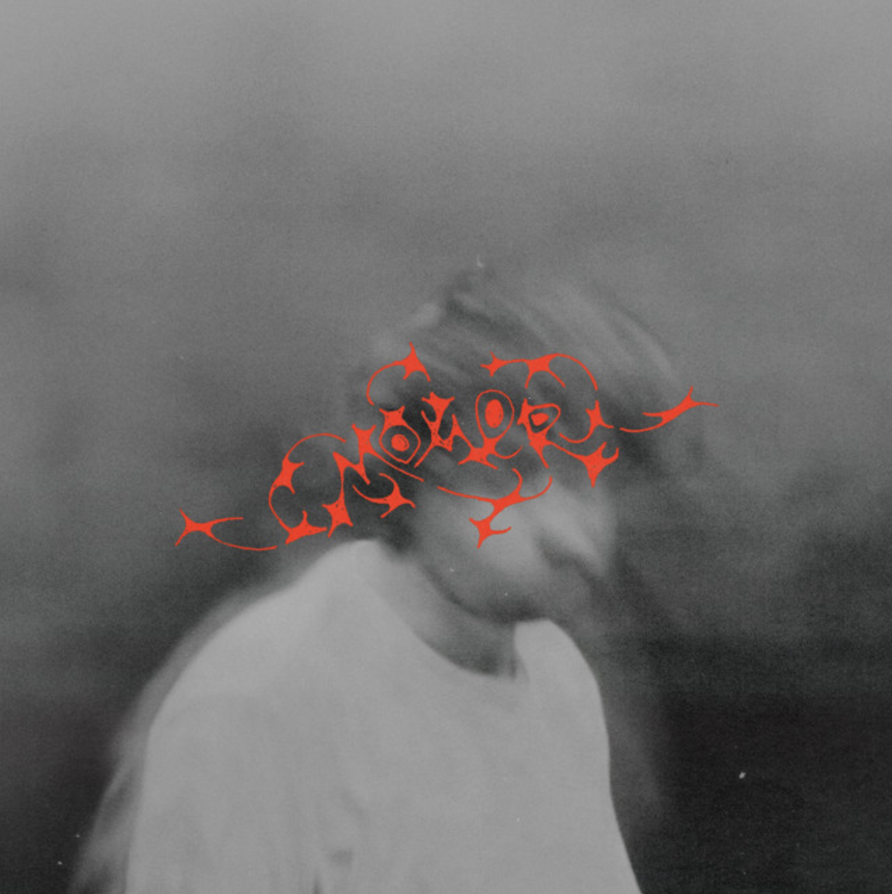 Crying Abel & Wowflower - MOWER