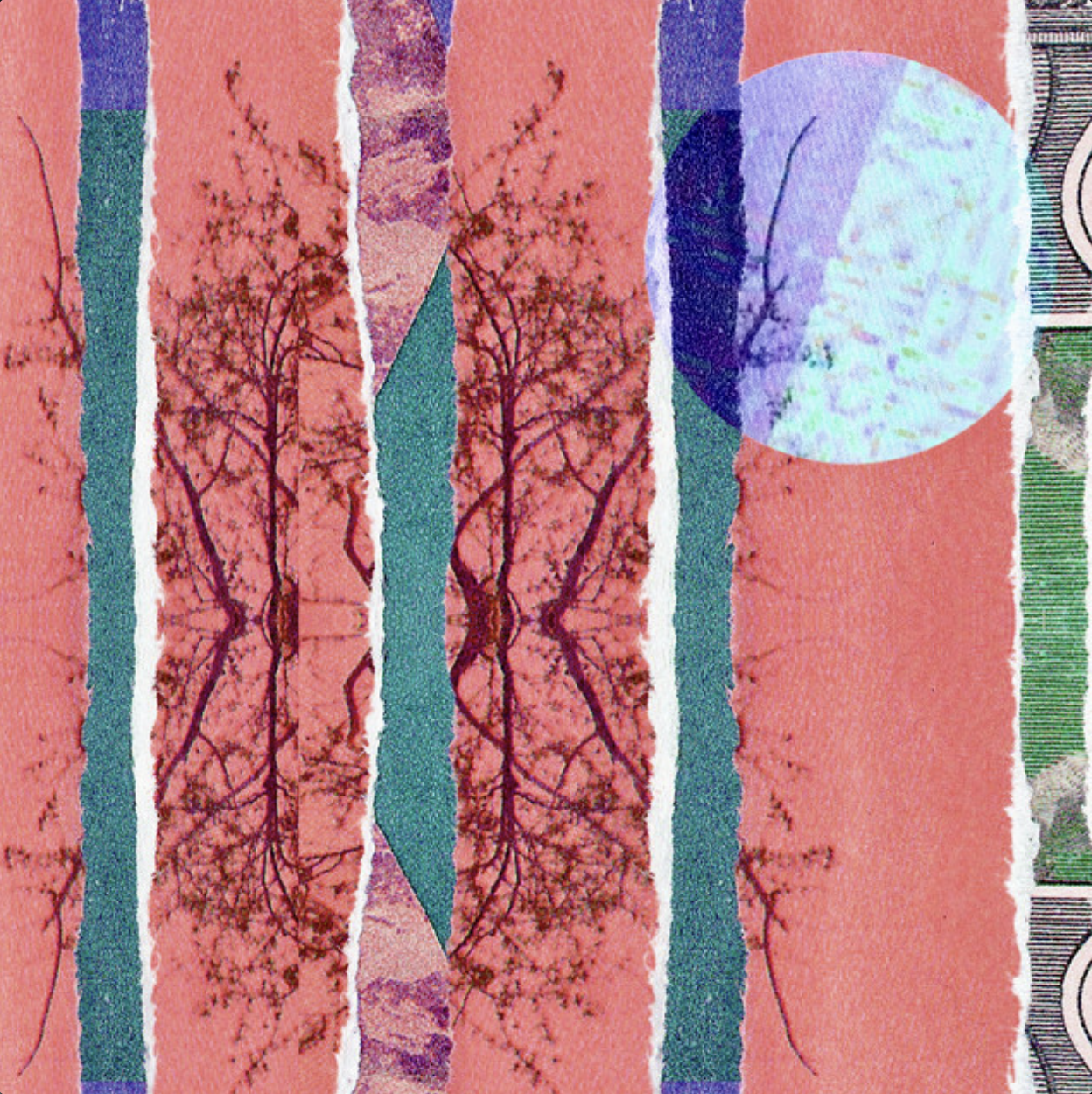 Richard Houghten, Kyle McEvoy, Wowflower - Art Life