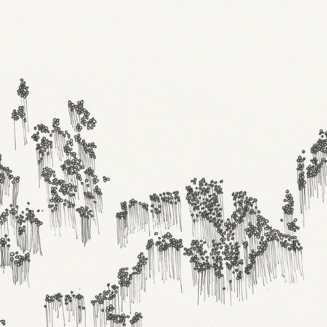 Wowflower - Balloons