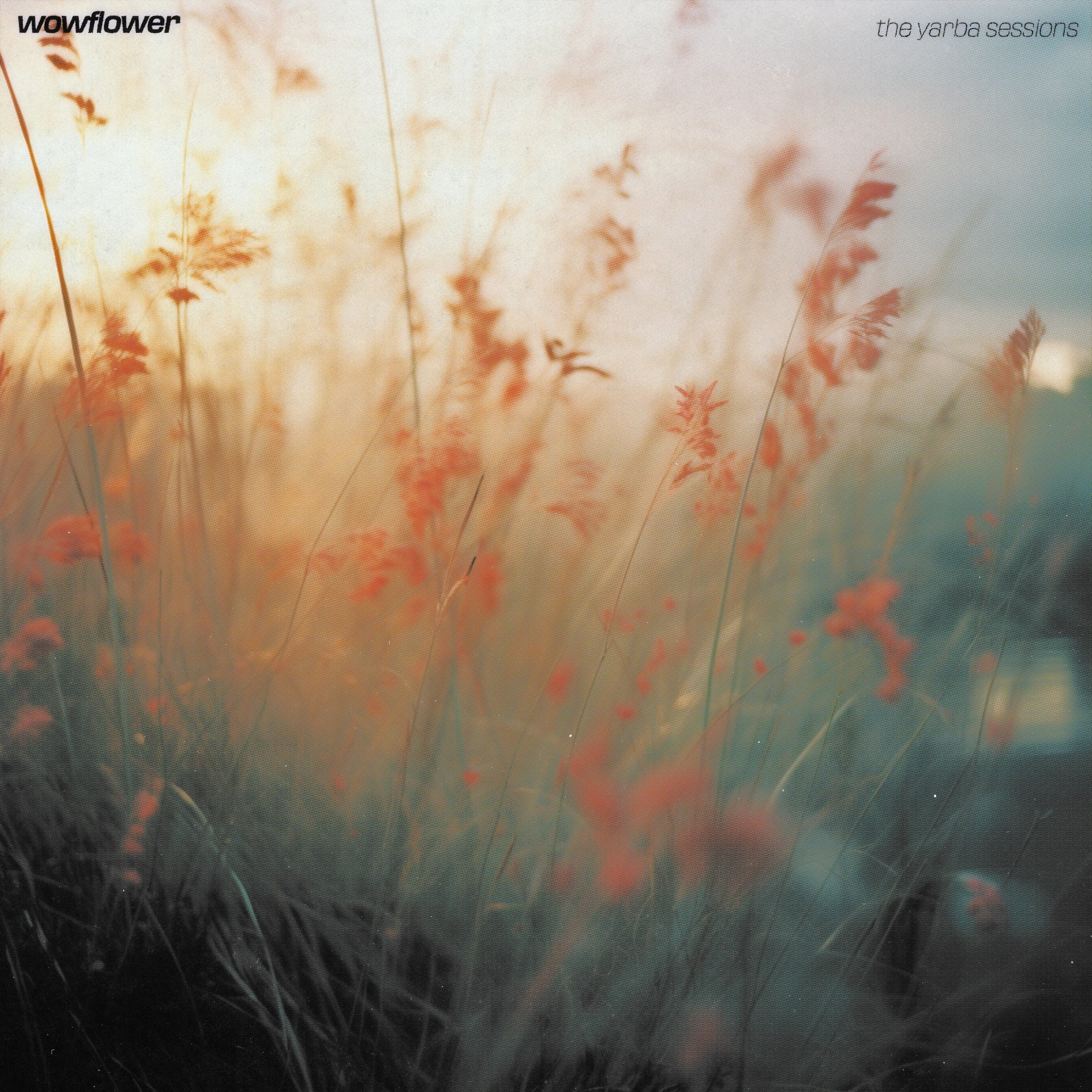 Wowflower - the yarba sessions