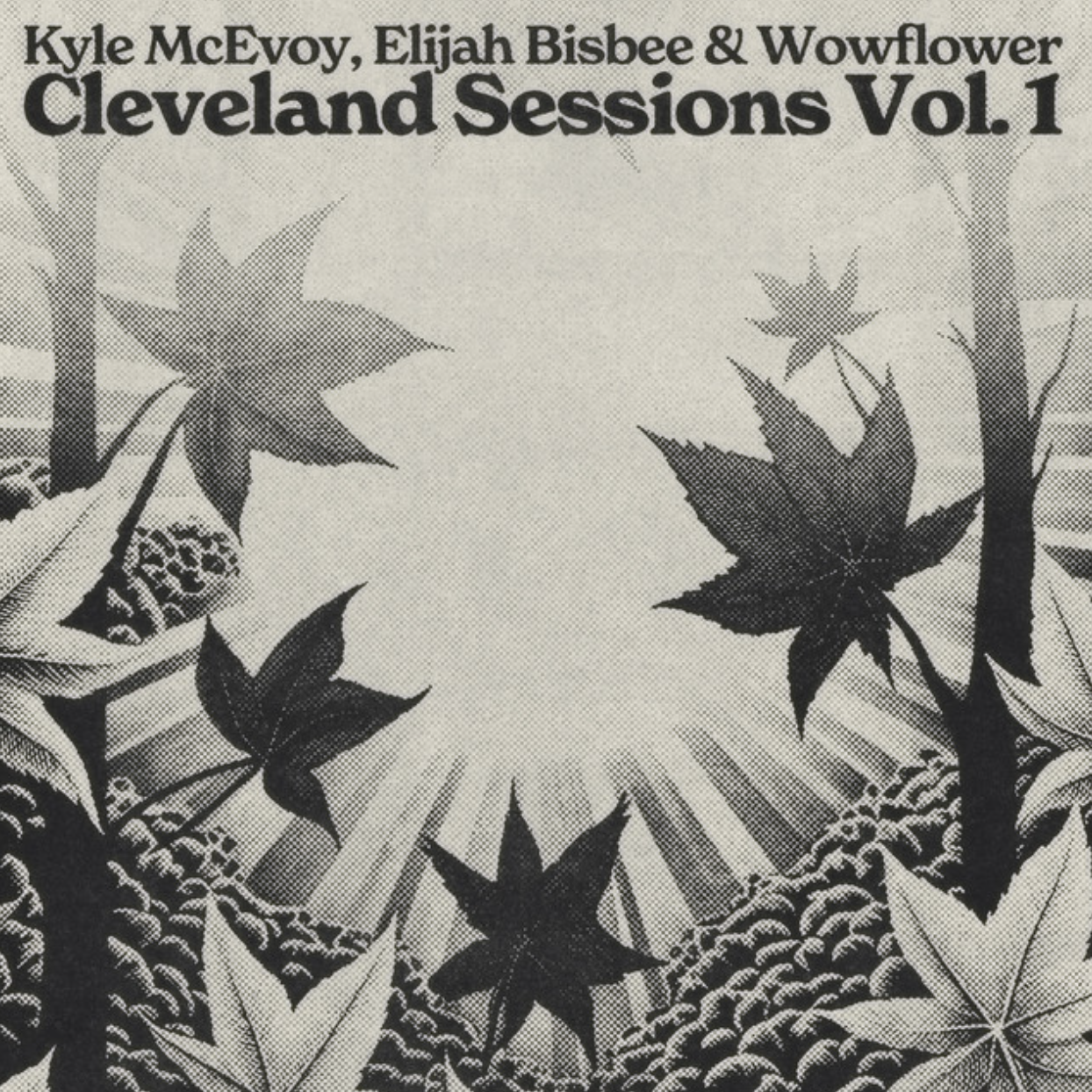 Kyle McEvoy, Elijah Bisbee & Wowflower - Cleveland Sessions Vol. 1