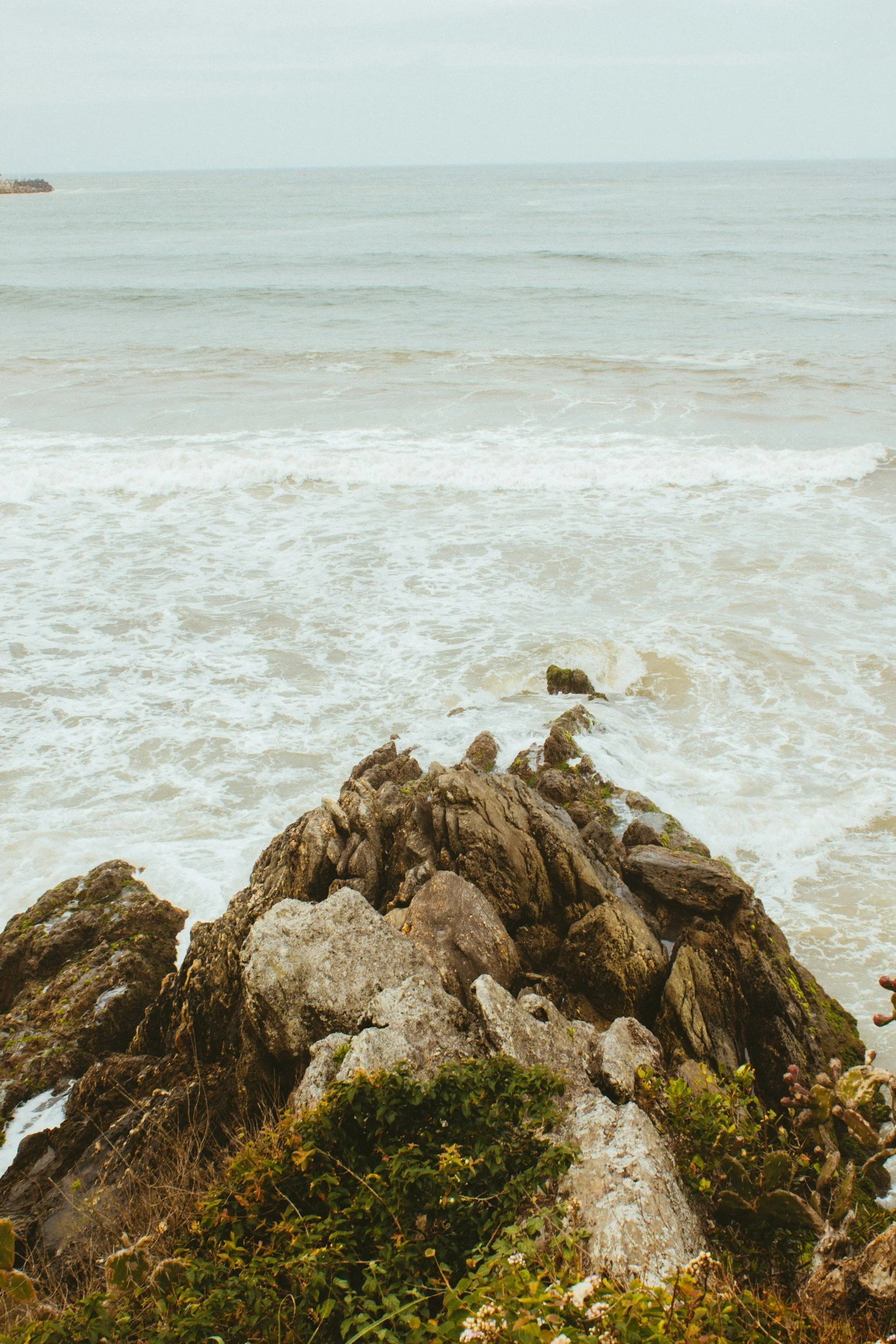 Bush & Beach Journeys