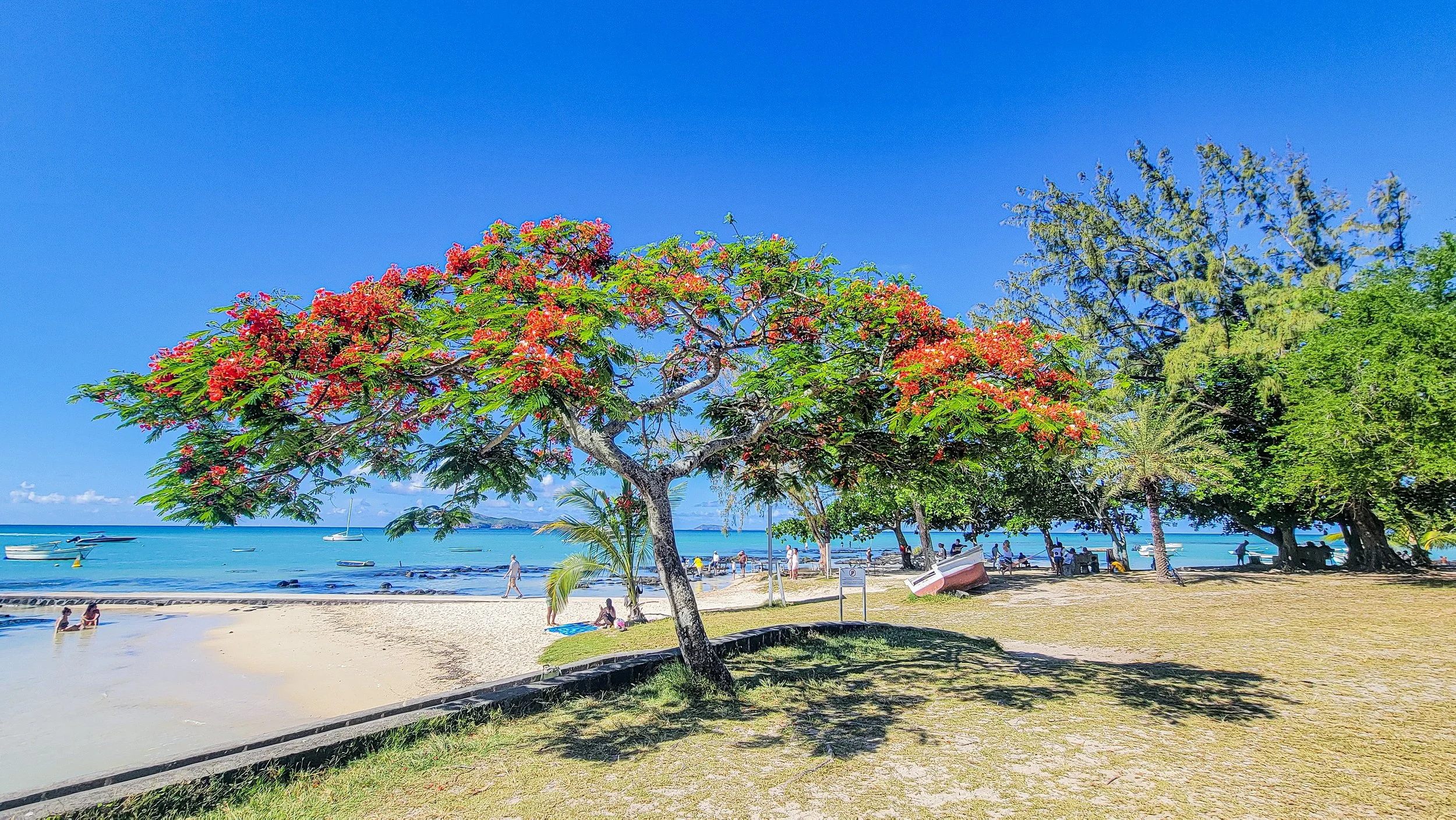 Welcome to The Harmony Journal