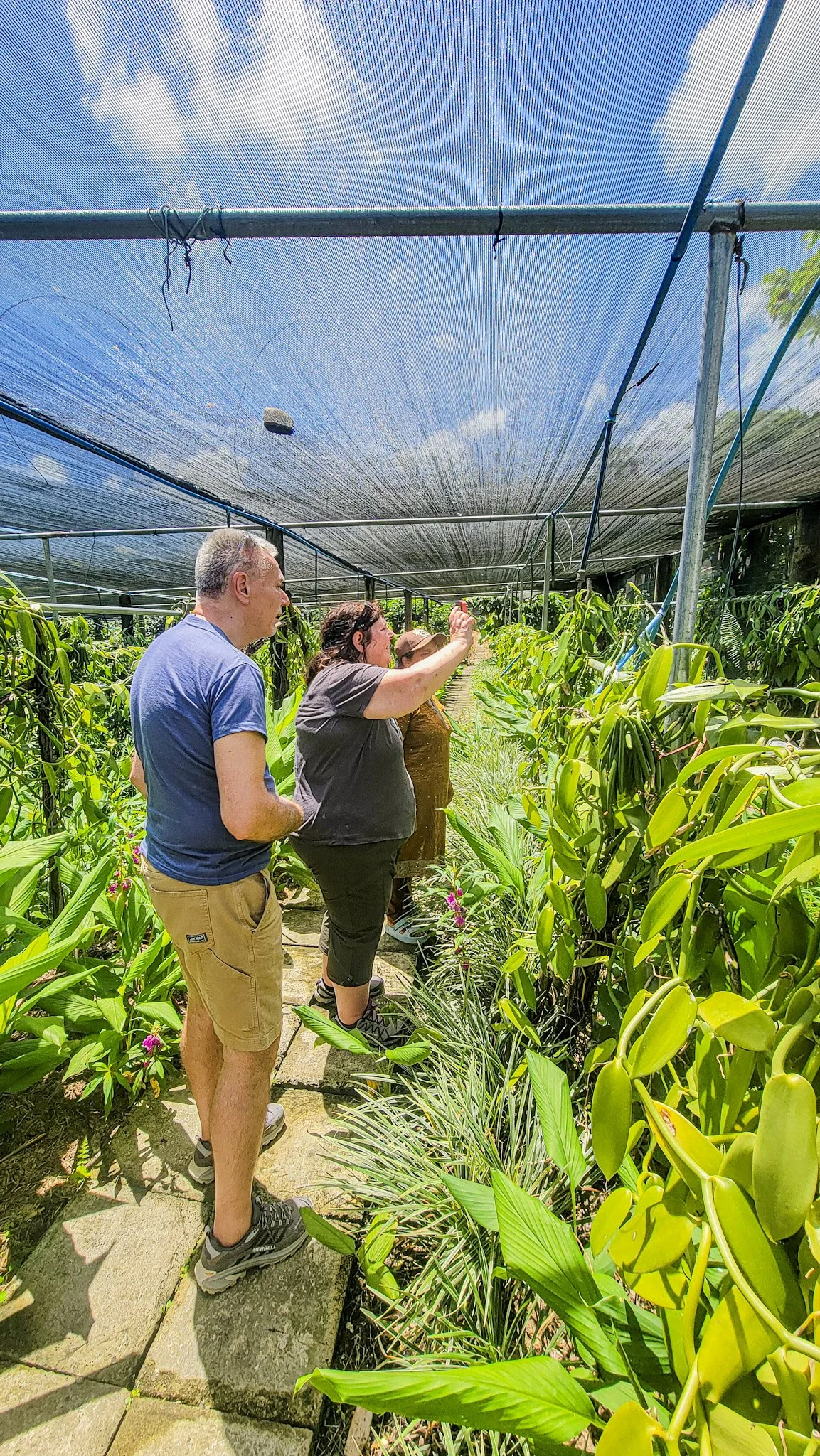 Real Time Insight and Responsiveness in Mauritius