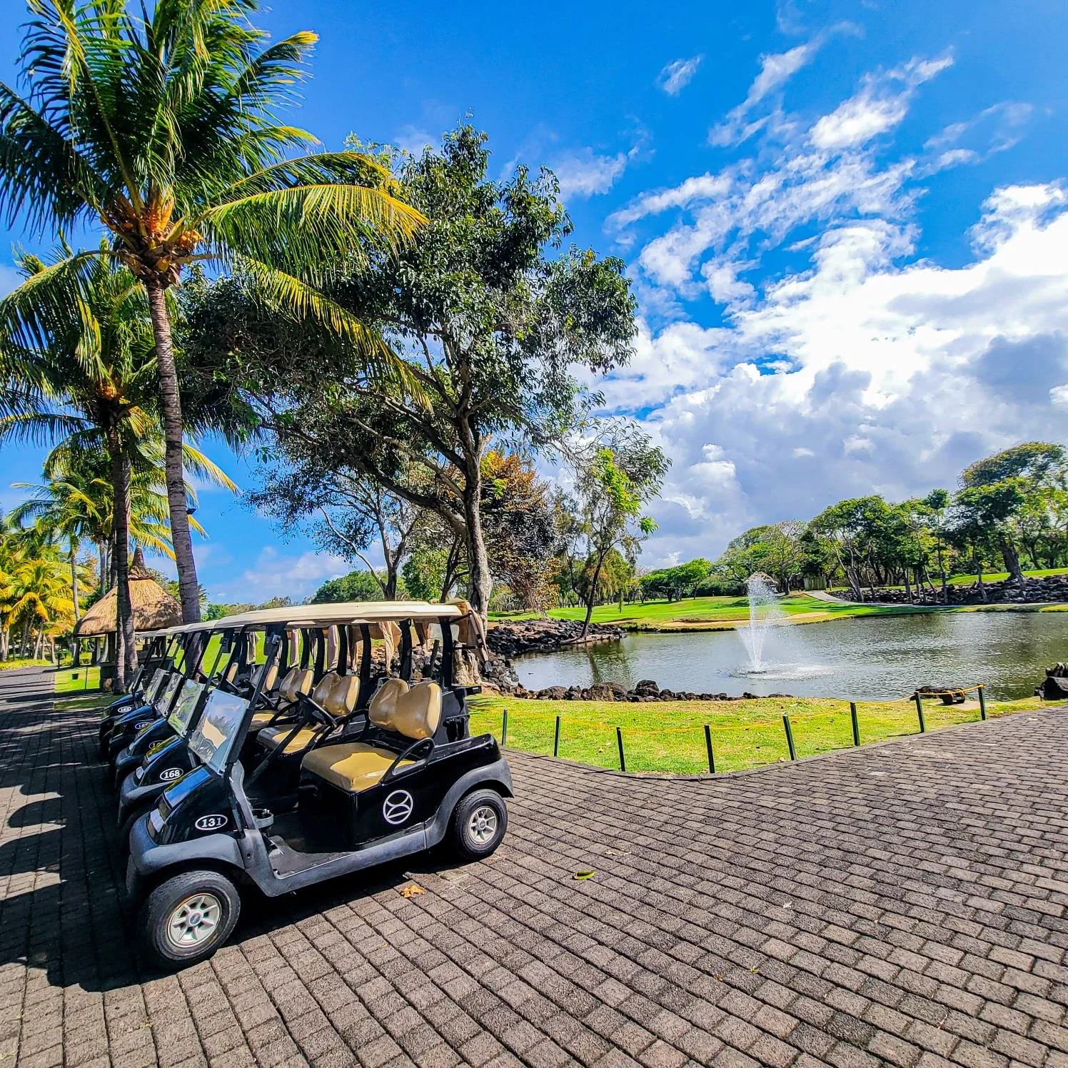 Championship golf course in Mauritius with golf cart, tropical palm trees, and luxury island scenery