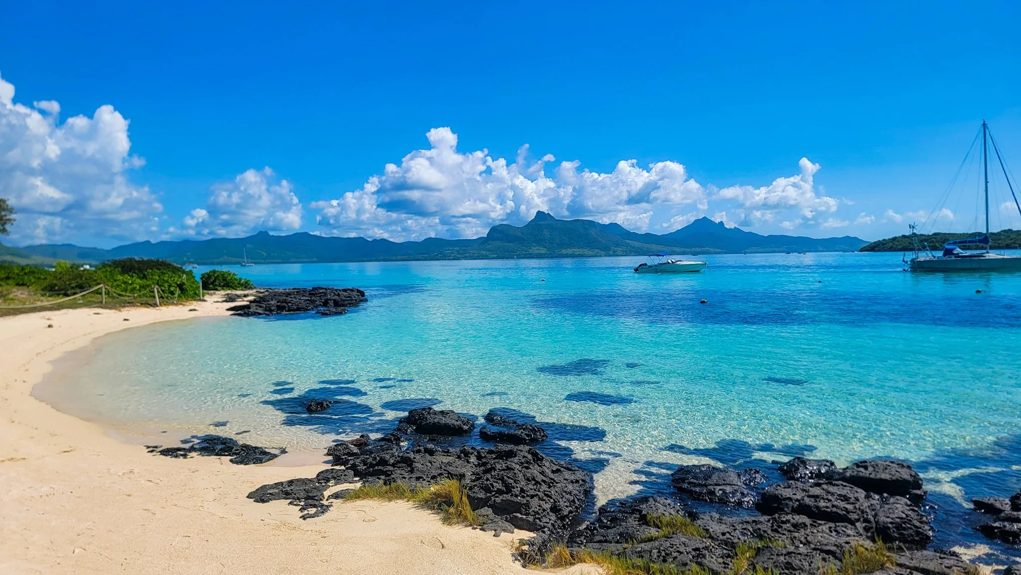 Tropical beach with palm trees, green bushes, sandy shoreline, calm turquoise water, and a lush hill in the background under a bright blue sky.