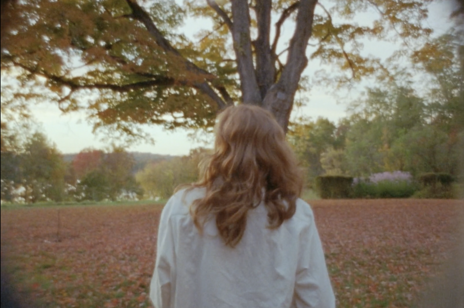 Screenshot 2023-09-09 at 10.48.20 AM.png