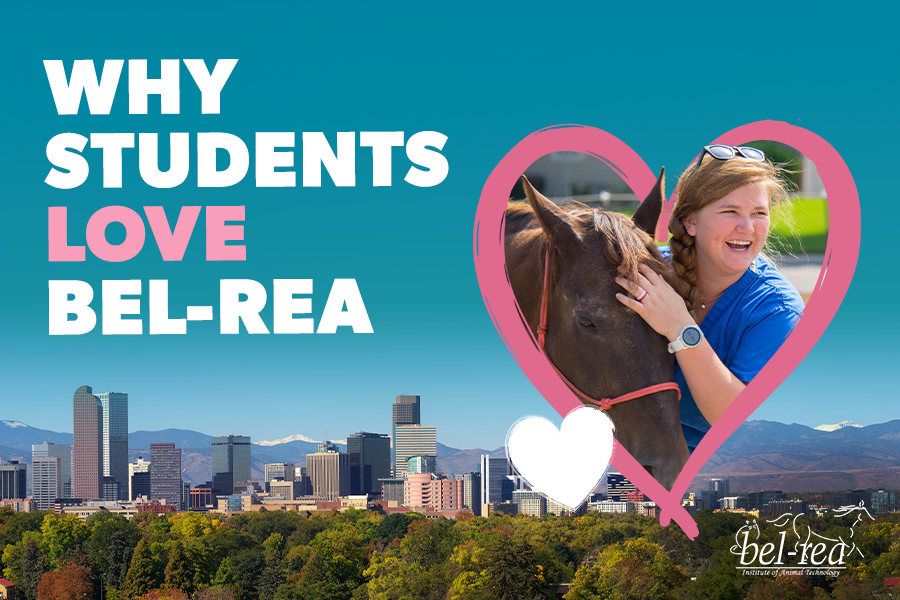 valentines header.png