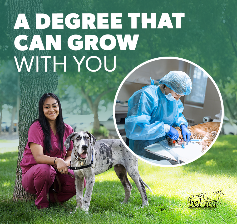 march_email2_2026 updated.png