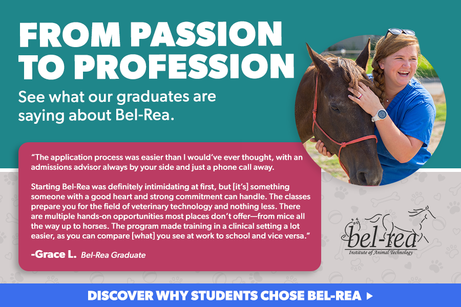 testimonial hero.png