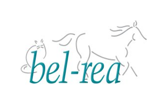 Artboard 1 copy 2.png