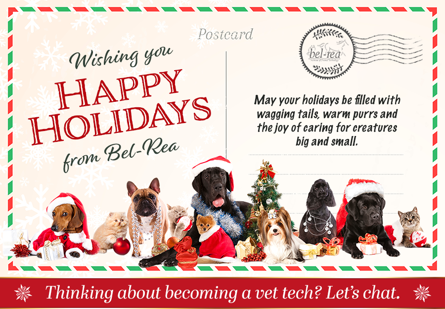 happy holidays image with CTA.png