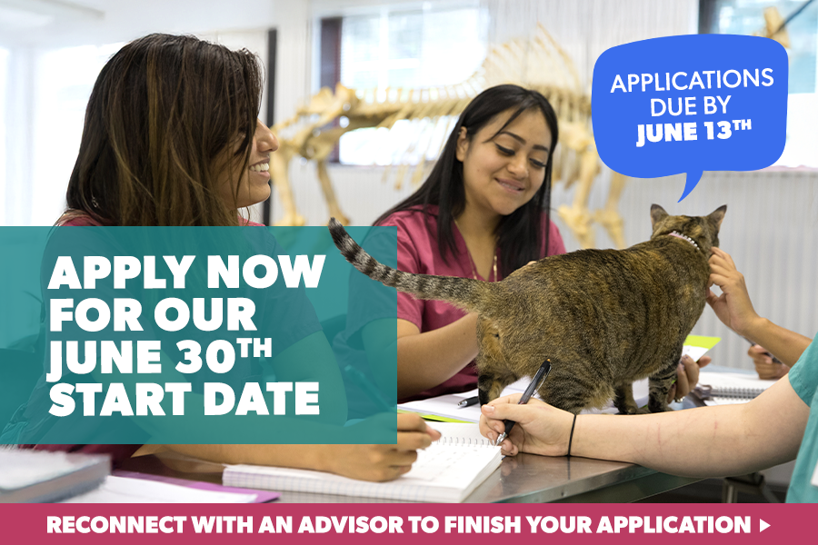 lifestyle hero image.png