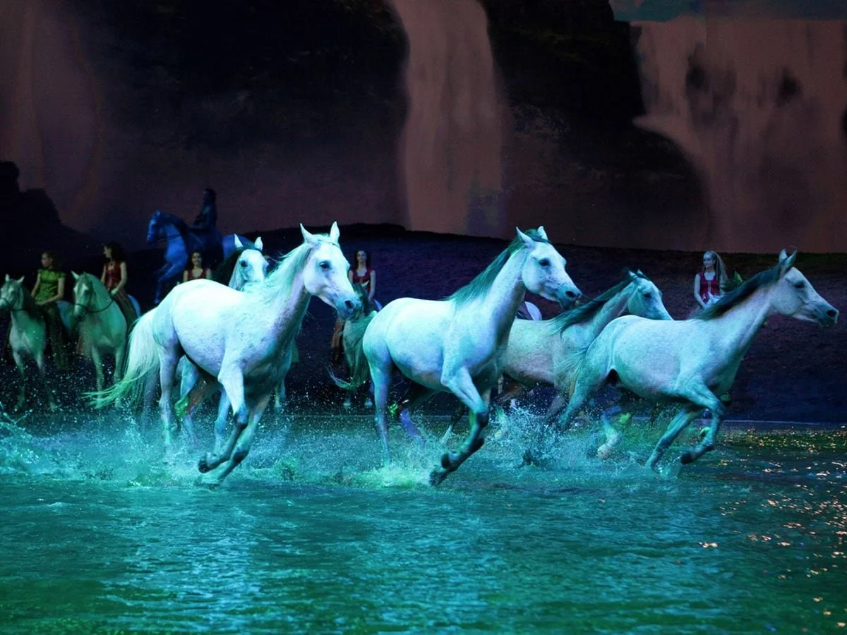 Cavalia / Odysseo (guitariste)