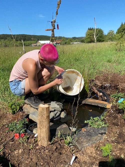 Alia Transfering Tadpoles.jpg