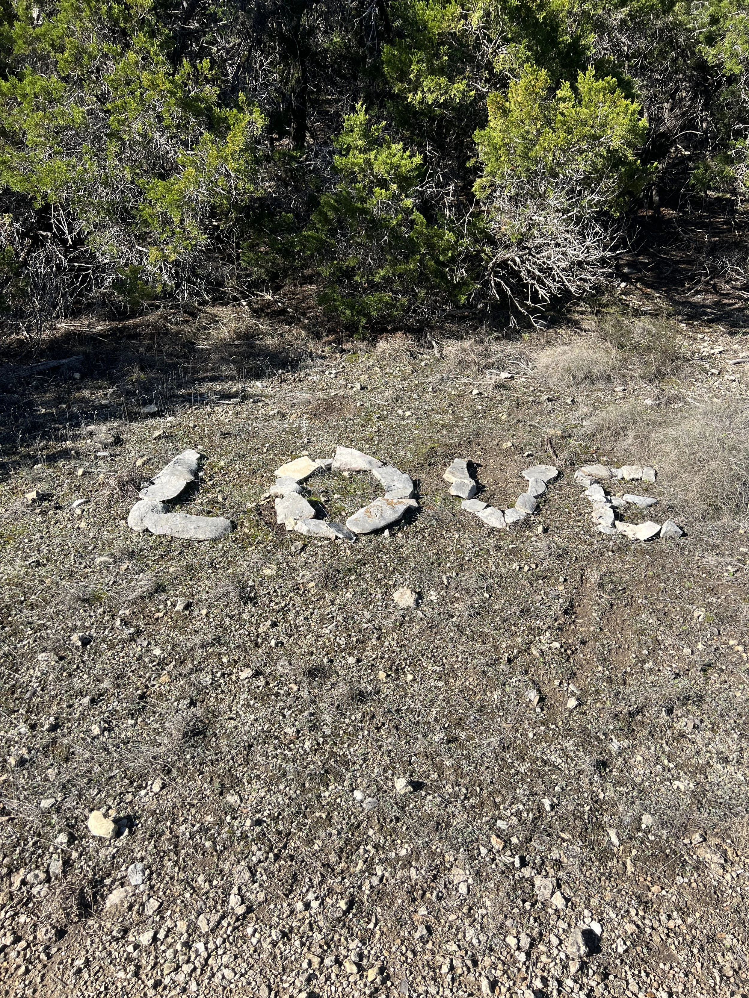 Winter Break + New Services