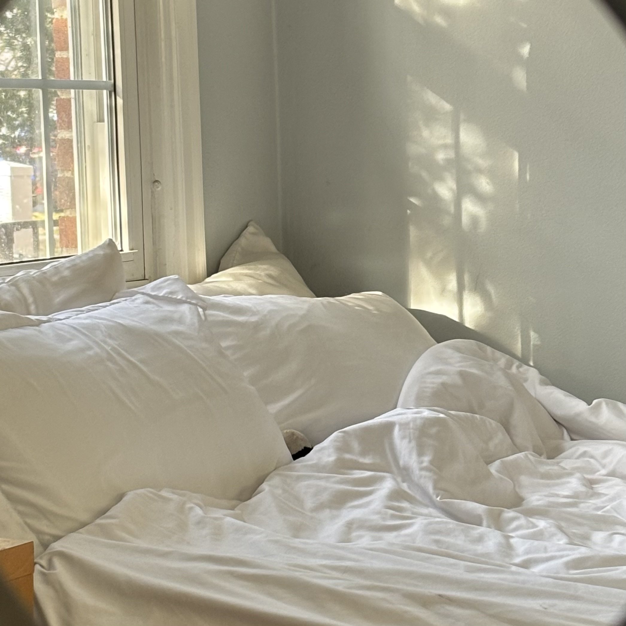 Do You Really Have No More Effs to Give?