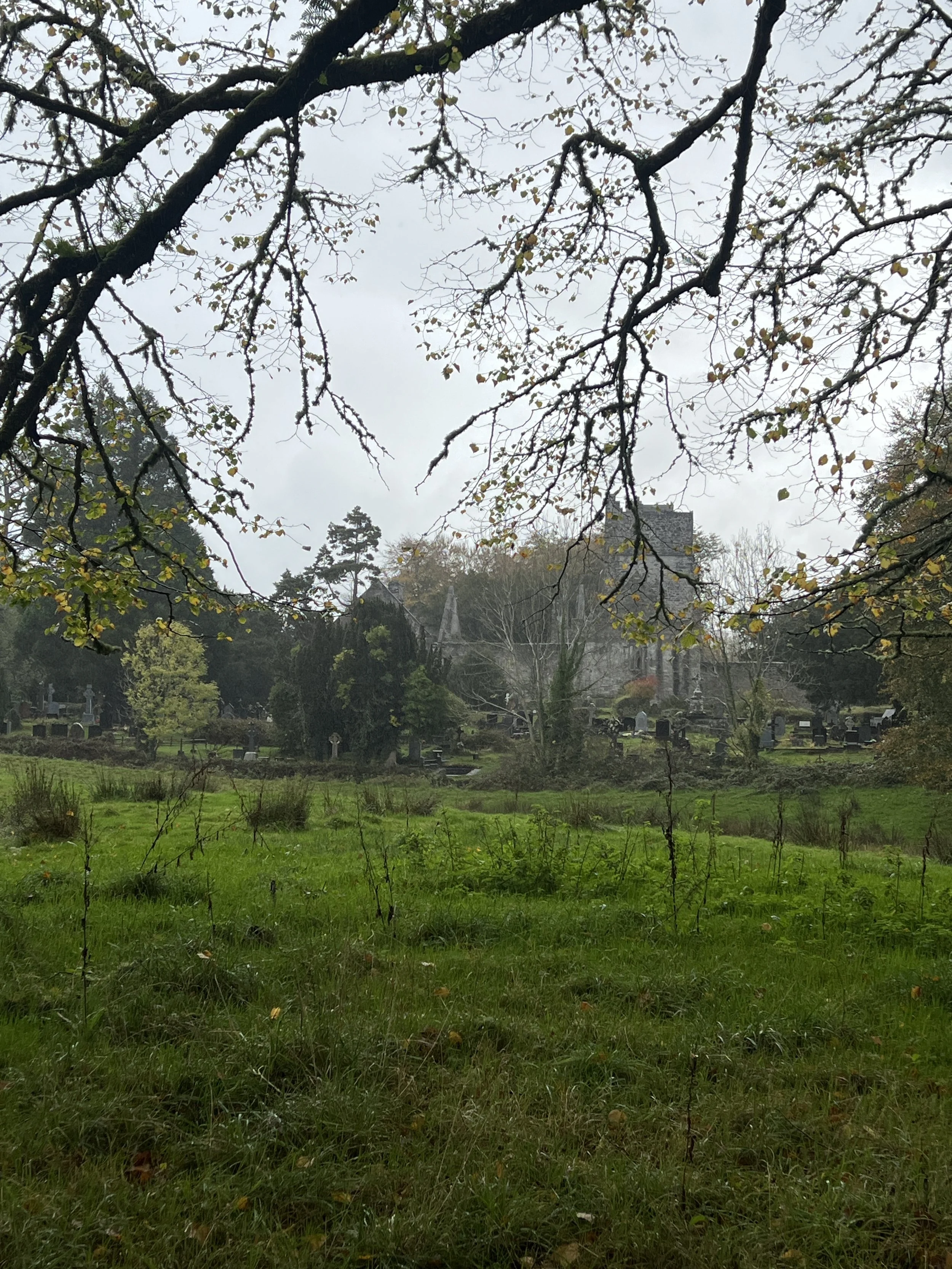 Killarney National Park