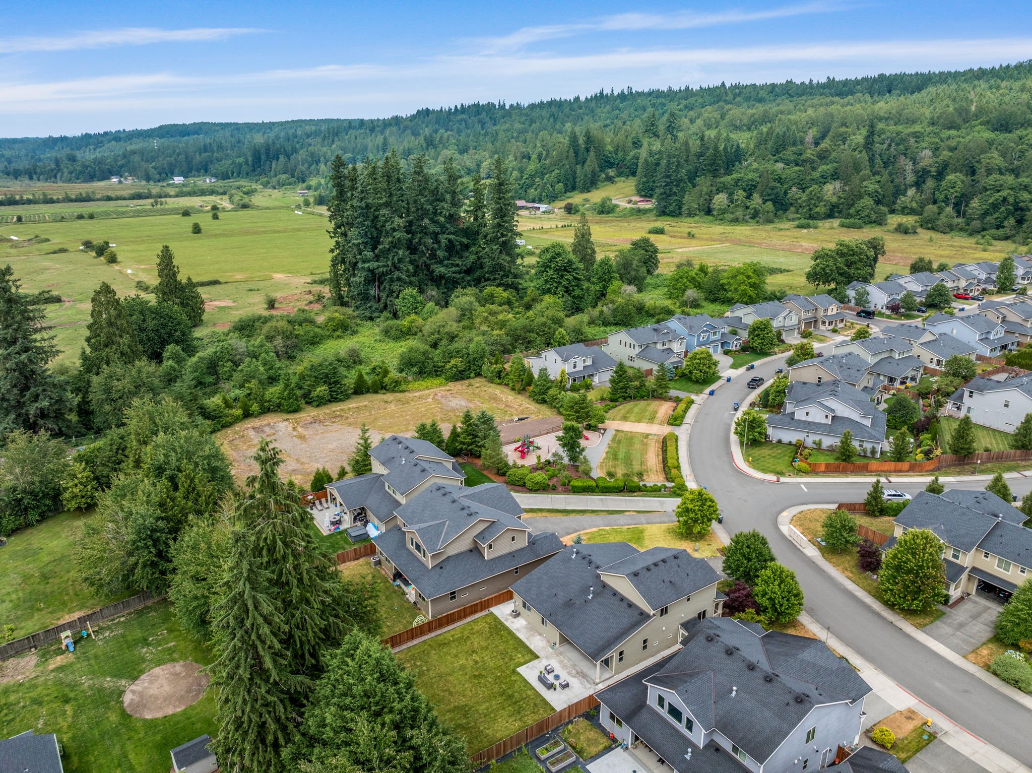 carnation houses.jpg